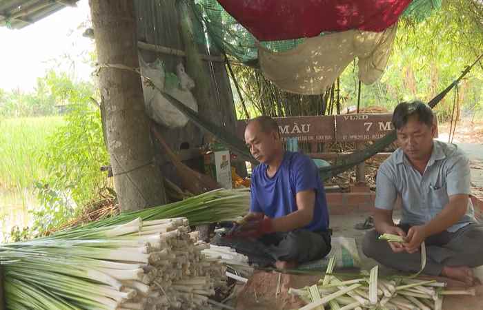  Phát triển chăn nuôi để phù hợp với vùng chuyên canh nông nghiệp (04-04-2024)